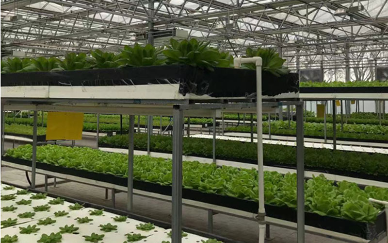 ������-LG��Ϸ|PT��Ϸ|CQ9��Ϸ